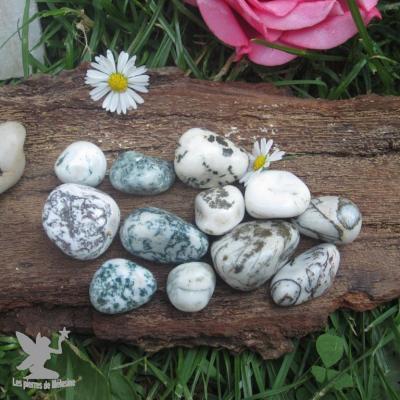 800 agate arbre 1 