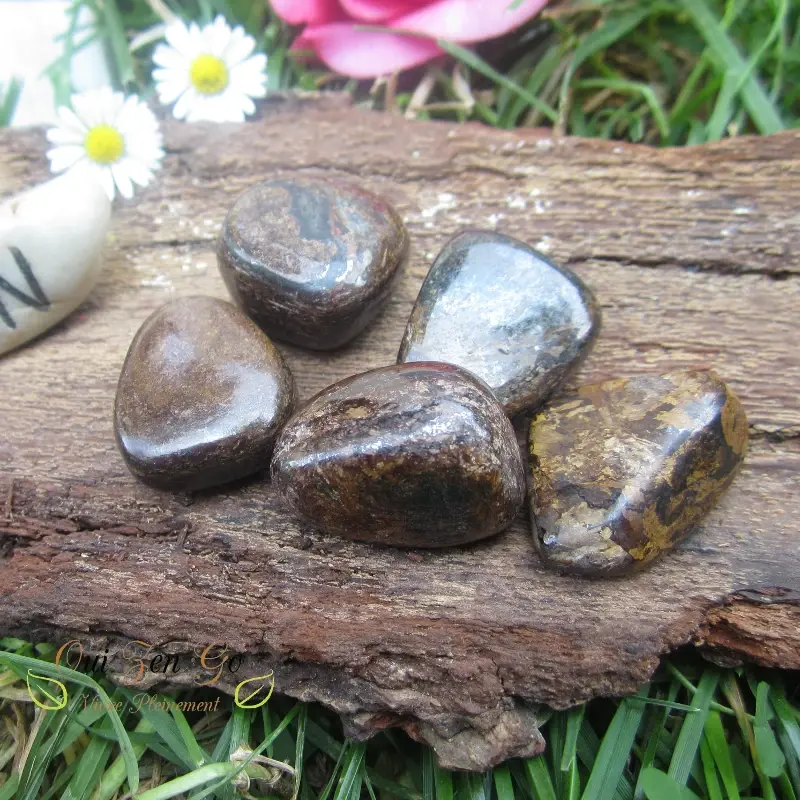 Bronzite