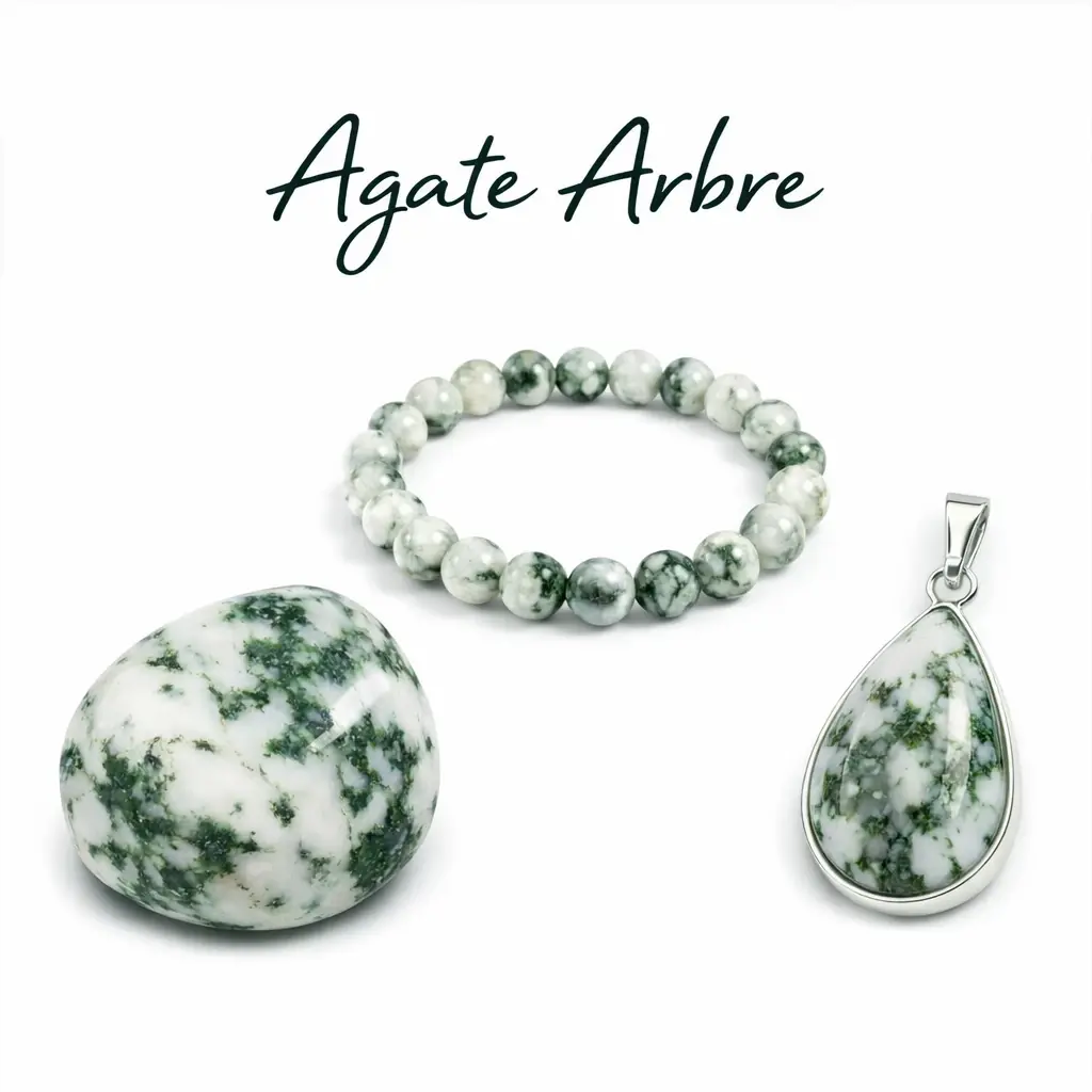 Agate arbre pierre naturelle