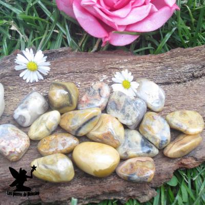Pierre roulees agate crazy lace