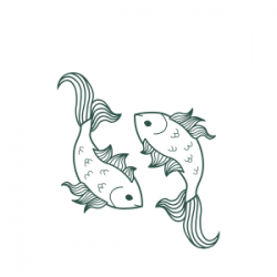 Poisson