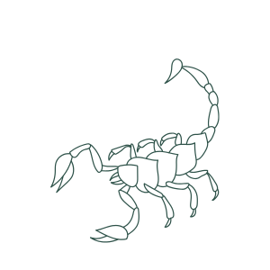 Pierre Scorpion lithothérapie signe astrologique